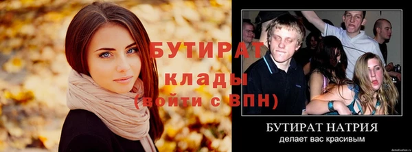 индика Ладушкин