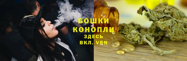 индика Ладушкин