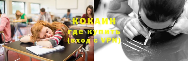 индика Ладушкин