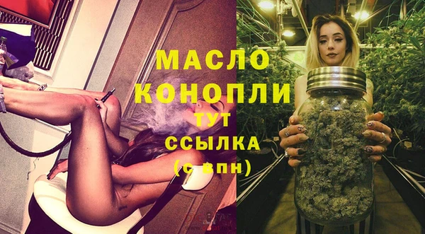 индика Ладушкин