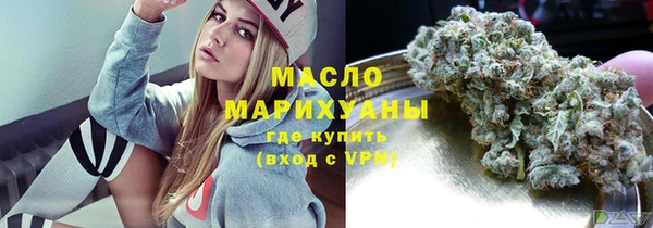 индика Ладушкин