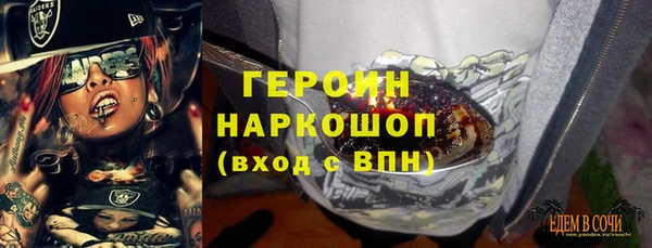 индика Ладушкин