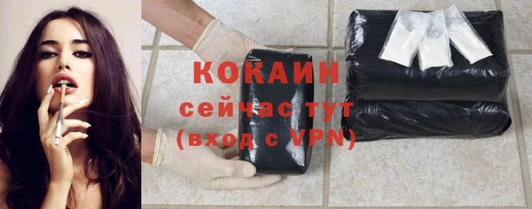 индика Ладушкин